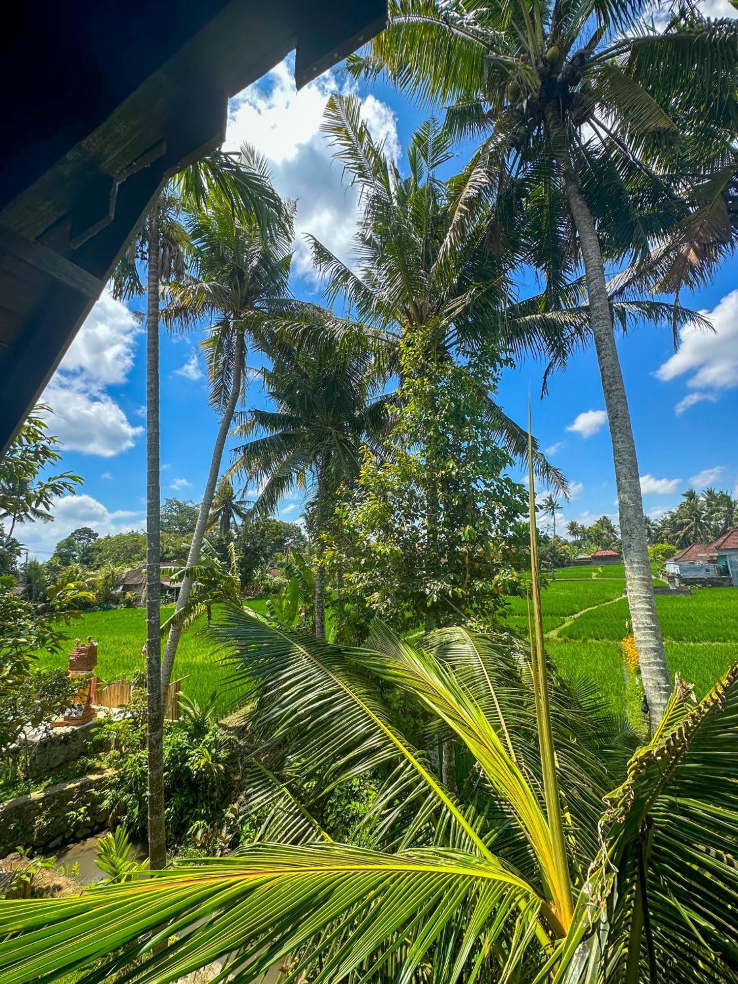 Nunu Bali Eco Friendly Retreat Hotel Canggu  Exterior photo