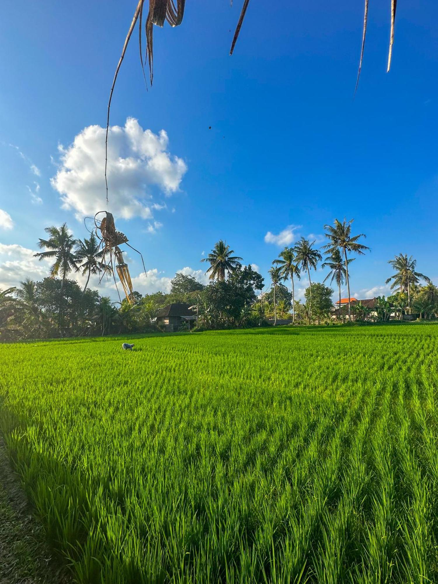 Nunu Bali Eco Friendly Retreat Hotel Canggu  Exterior photo